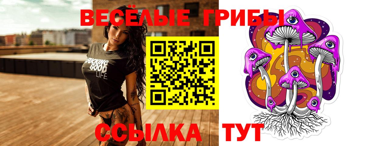 Галлюциногенные грибы Psilocybine cubensis Жуковский