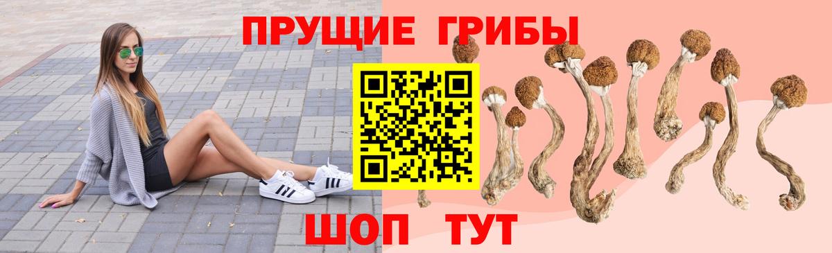 ГАШ Жуковский